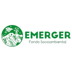 Logo Fondo Emerger