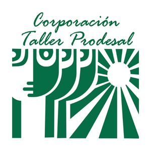 Logo Taller Prodesal